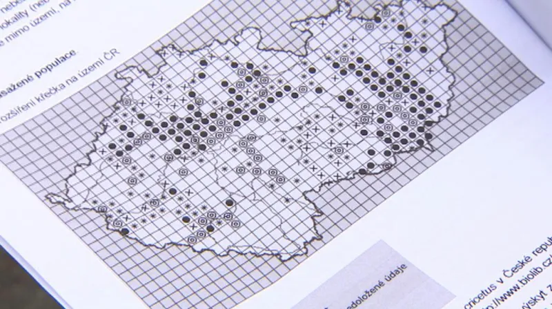 Rozšíření křečka na území ČR