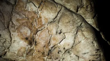 Kámen přezdívaný Mozek