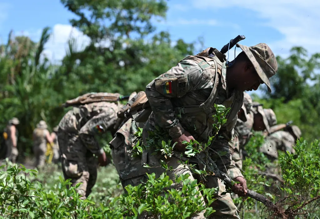 Bolivijští vojáci ničí rostliny koky