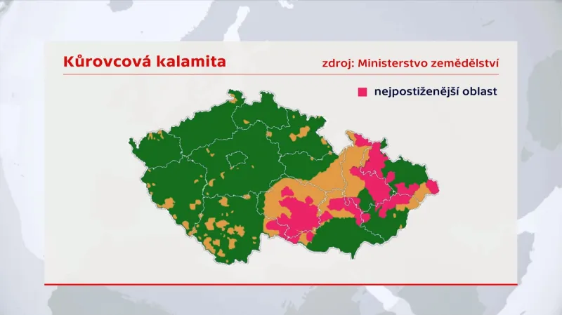 Mapa kůrovcové kalamity