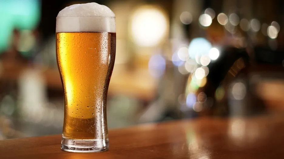 Pivo