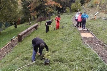 Dobrovolnický projekt na ZŠ Jáchymov