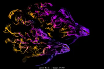 Podívejte se na nejlepší snímky života pod vodou. Soutěž Ocean Art vyhlásila vítěze