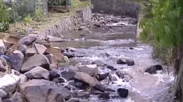 Nánosy kamení v korytě oldřichovského potoka