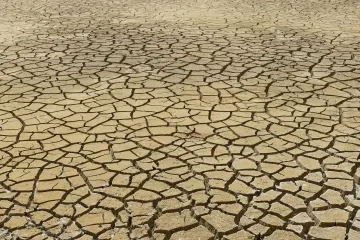 Za pravěkou změnu klimatu mohl jediný organismus, popsali čínští vědci