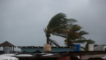 Silný vítr na Jamajce