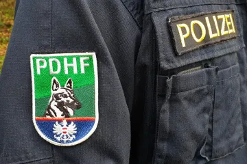 Rakousko zavádí kontroly na hranicích. Londýnu hrozí kolaps zdravotnictví