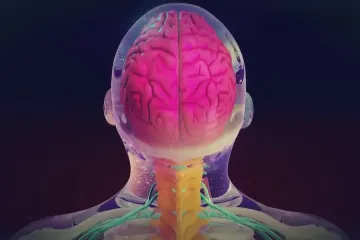 Čeští vědci pracují na genové terapii, která opraví poškozenou páteř