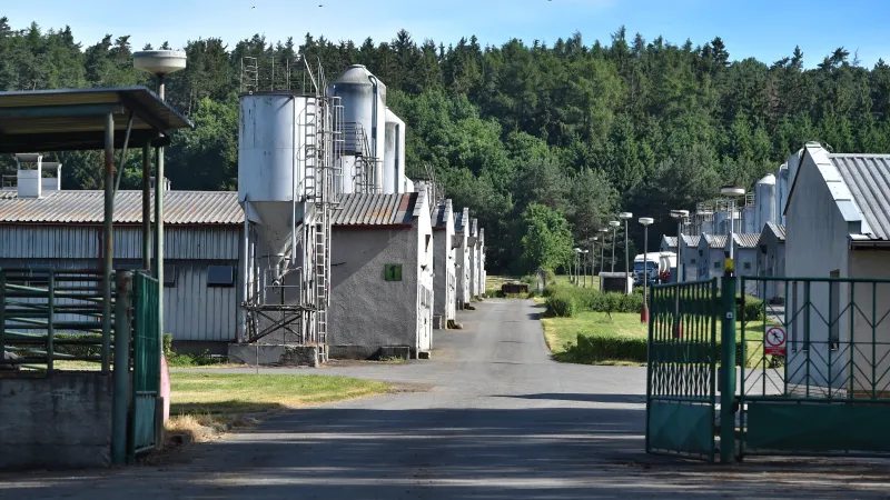 Vepřín, který stál na místě bývalého koncentračního tábora pro Romy v Letech u Písku. Vyfoceno 9.6.2017