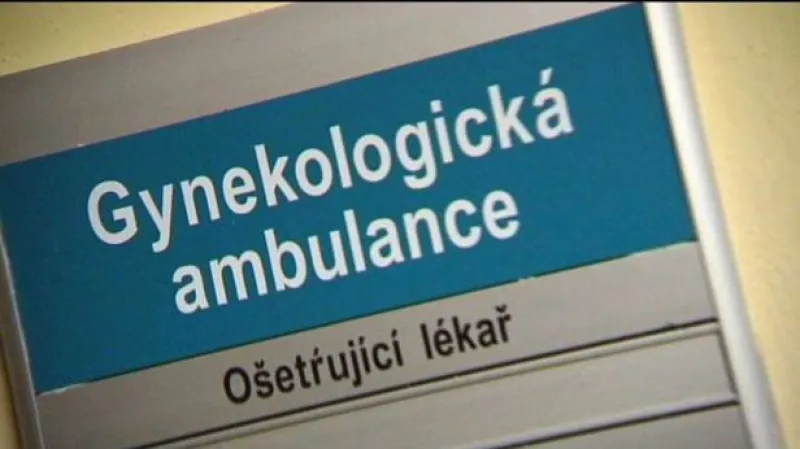 Reportáž Silvie Klekové