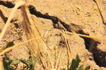 Sníh se v dubnu odpaří dřív než vsákne. Vědci popsali, jak je jaro zásadní pro celoroční sucho