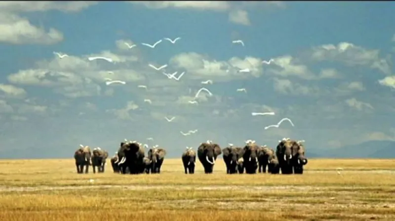 Reportáž Filipa Zdražila a Dany Zlatohlávkové