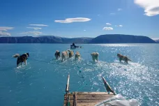 Snímek psů brodících se vodou upozornil na masivní tání ledu v Grónsku