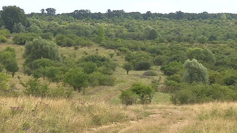 Pálava získala novou přírodní památku