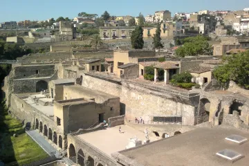 Muži v antickém Herculaneu jedli enormní množství ryb. Výzkum ale ukázal, že tamní ženy měly jiný jídelníček