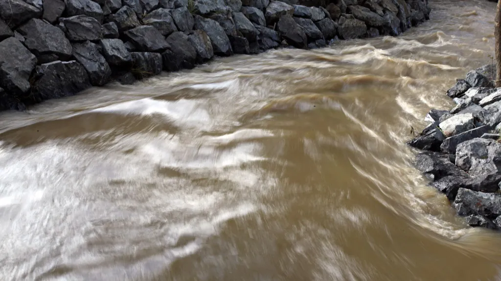 Botič zase v normálu