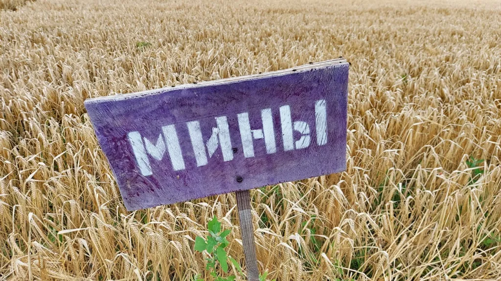 Nápis „miny“ na poli v Kyjevské oblasti
