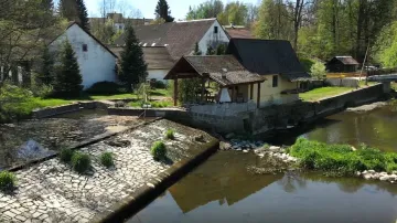 Málo vody v Nežárce