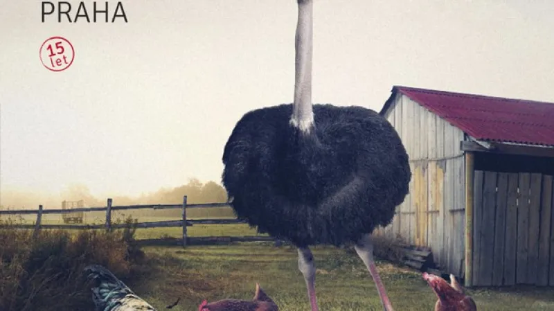 Leták k festivalu Jeden svět 2013