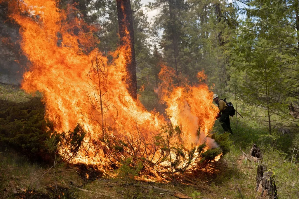 Profesionální hasiči zakládali umělé požáry v Oregonu
