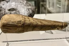 Nebyl to kyj, ale dřevěný pyj, zjistili archeologové u římského artefaktu