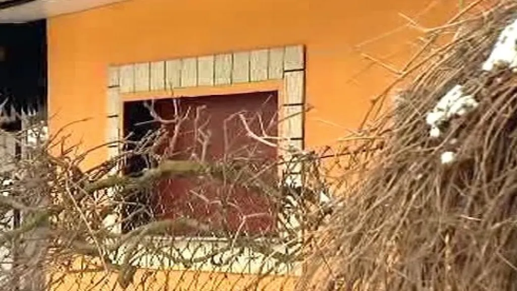 Dům v Bedřišce