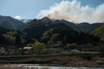 Odlesňování mírně zpomaluje, úbytek lesů však zůstává alarmující