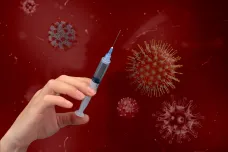 Nové mutace koronaviru vyvolávají u vědců obavy. Mohly by unikat testům, imunitě i vakcínám