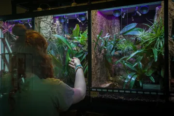 Liberecký pavilon ZooExpo představuje vzácné tropické žáby