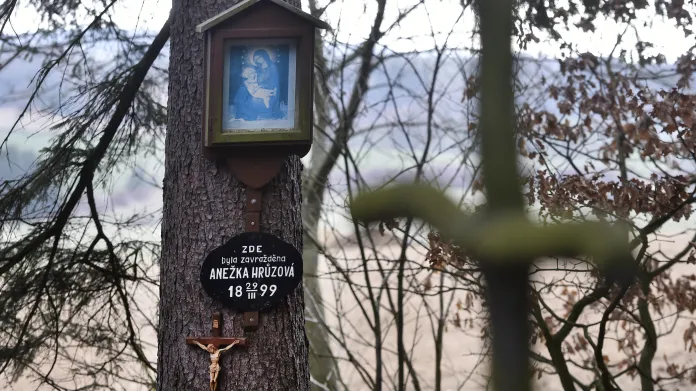 Pieta na místě nálezu těla Anežky Hrůzové v lese Březina poblíž Polné