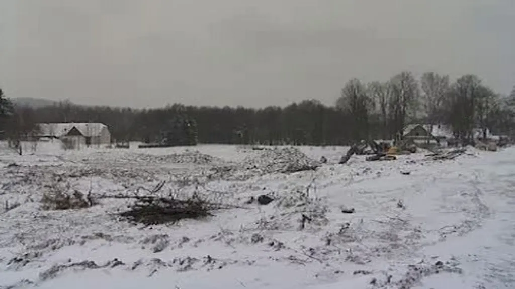 Pokácené stromy v lokalitě potoka Bělá