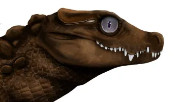 Rekonstrukce podoby pravěkého krokodýla Mekosuchus inexpectatus