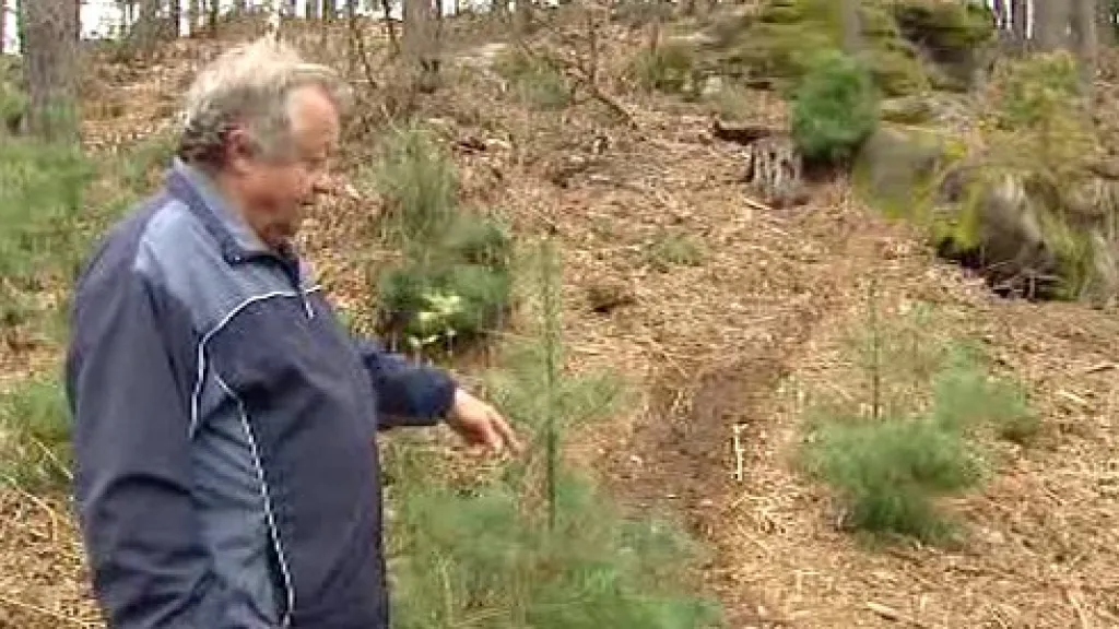 V Prachovských skalách škodí motorkáři