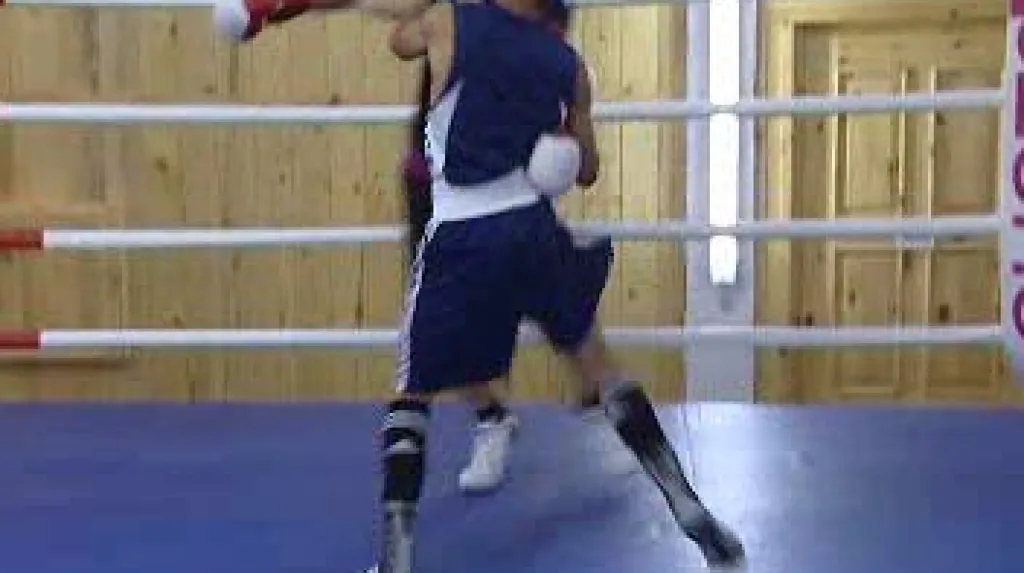 Mladí boxeři