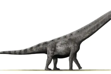 Vědci objevili pozůstatky možná největšího dinosaura v dějinách