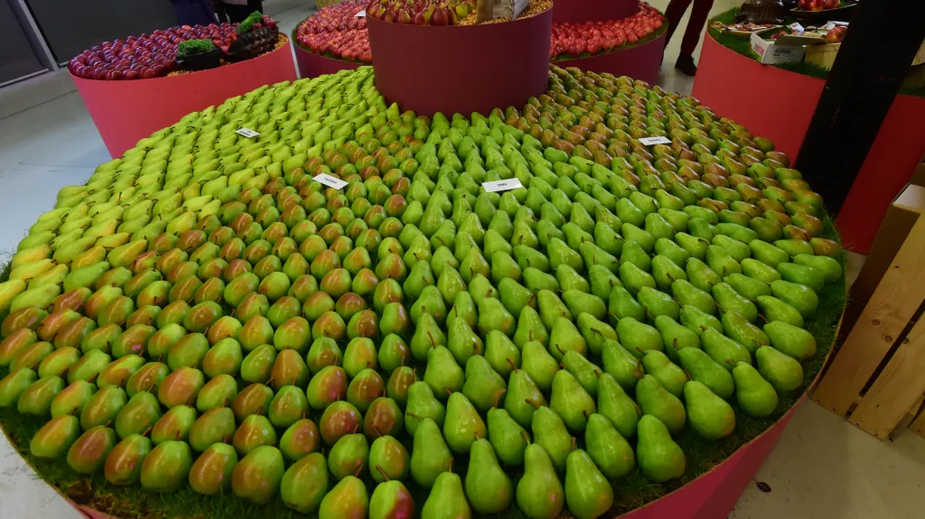 Podzimní výstava ovoce a zeleniny Flora Olomouc