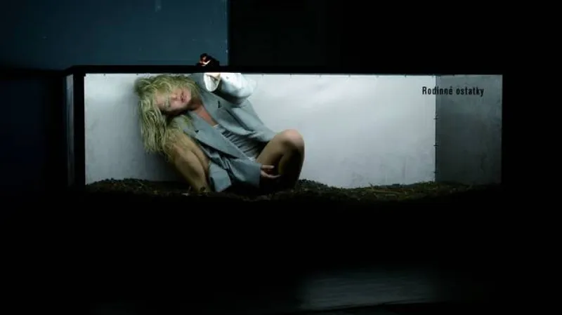 Hamlet / Zuzana Onufráková