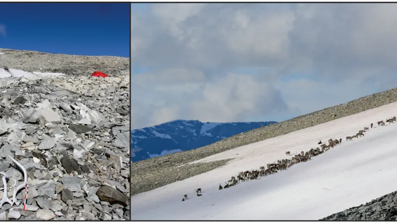 Sobi využívali ledové čepice v minulosti - i nyní