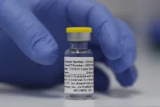 Pandemie ve světě: Evropě chybí vakcíny, Německo zakazuje vstup ze zemí s variantami covidu