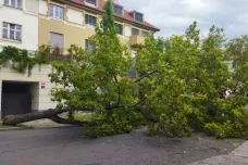 Českem prošly v sobotu bouřky. Prahu zasáhlo krupobití, na silnici u Mníšku popadaly desítky stromů