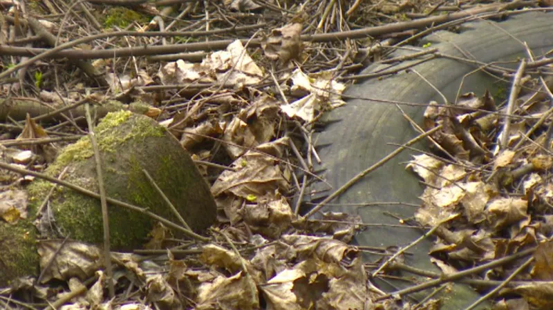 Předměty, které se v lese rozhodně nevyskytly náhodou