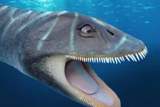 Křivozubý plesiosaurus upozornil na pozoruhodnou shodu v evoluci