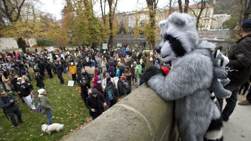 Demonstrace proti kožešinovým farmám