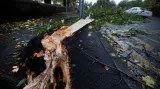 Bouře v Británii polámala stromy