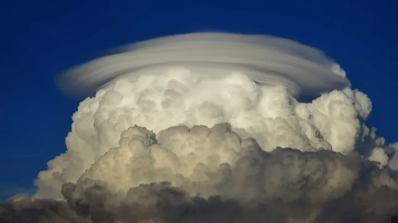 Pileus