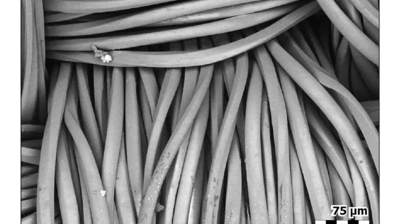 Polyesterová vlákna