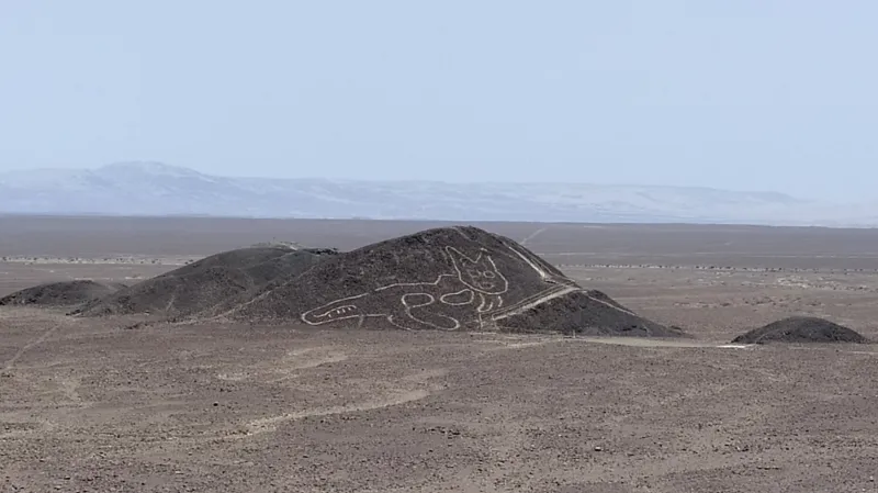 Kočka z planiny Nazca
