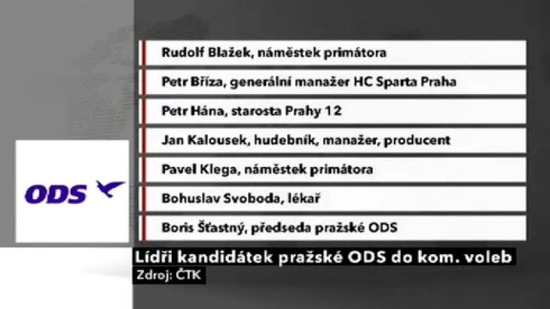 Lídři kandidátek