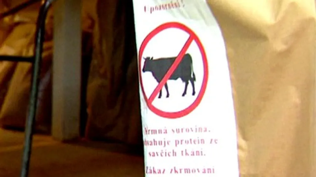 Masokostní moučka