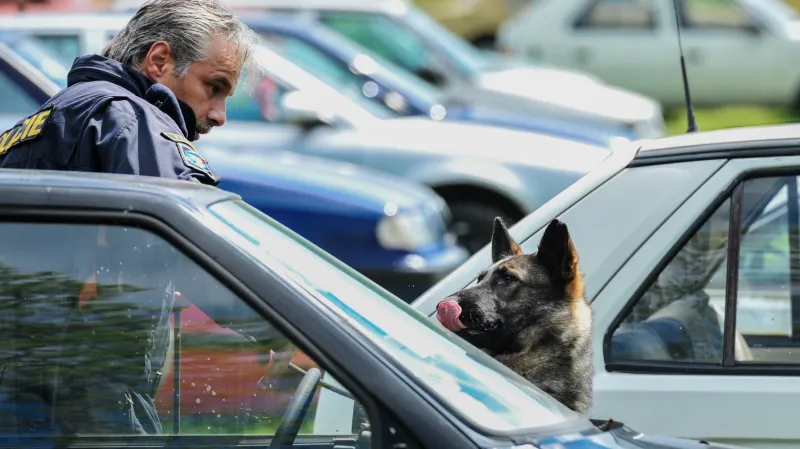 Mezinárodní mistrovství služebních psů ve vyhledávání drog a tabáku